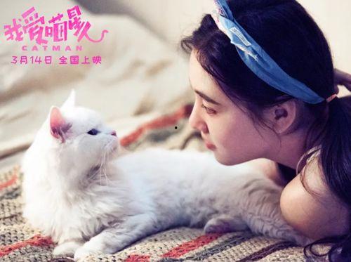 我爱喵星人,揭秘我爱喵星人的温馨世界