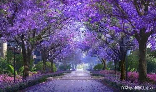 城南花影,漫步古都风情画卷