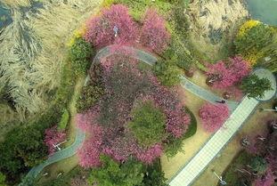 城南花影,漫步古都风情画卷