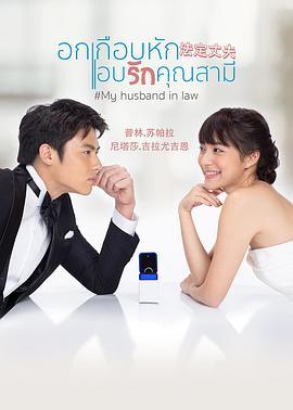 我的法定老公 国语版,揭秘婚姻法下的爱情与责任